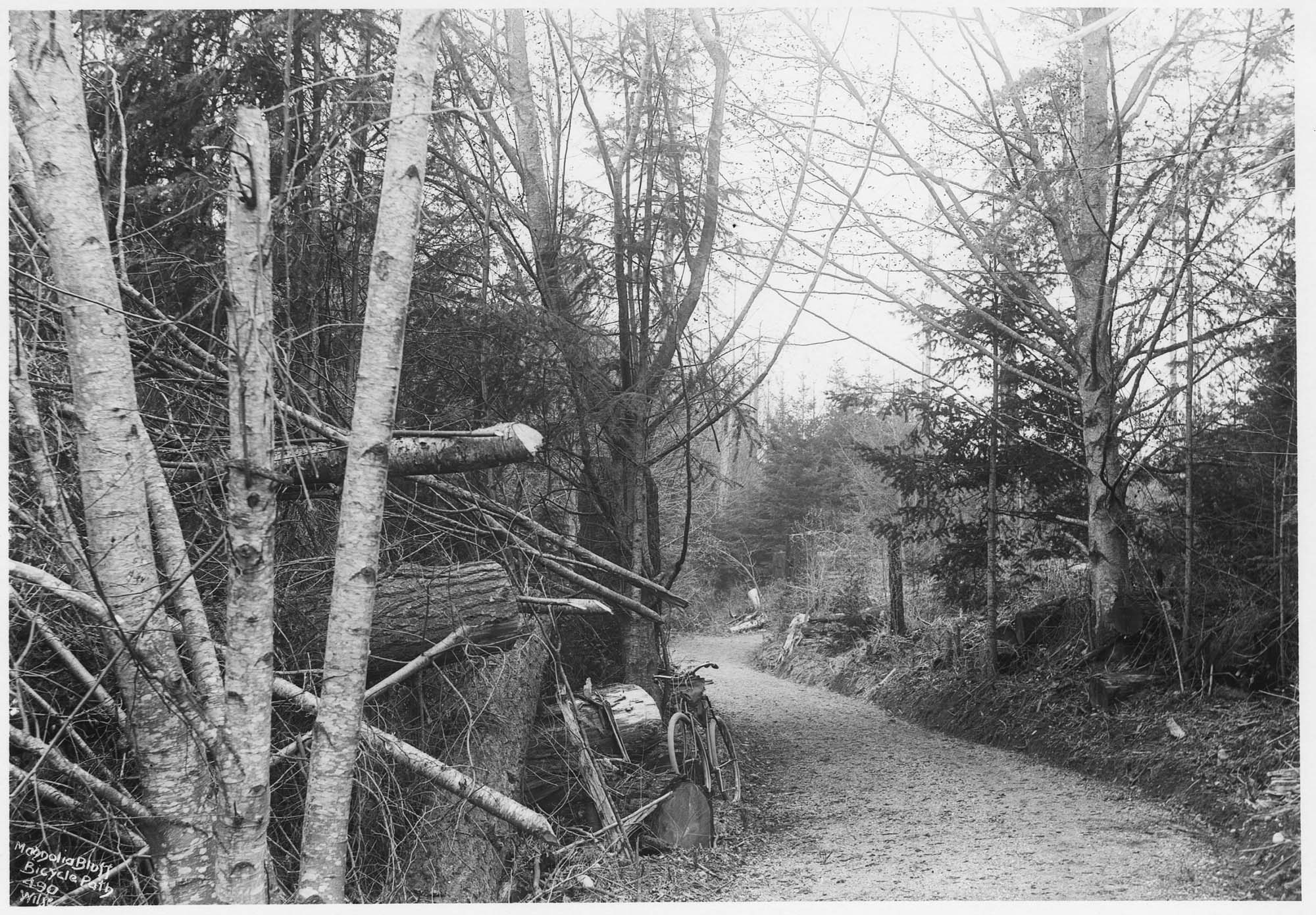 Image of Magnolia Bluff bicycle path, Seattle, circa 1898