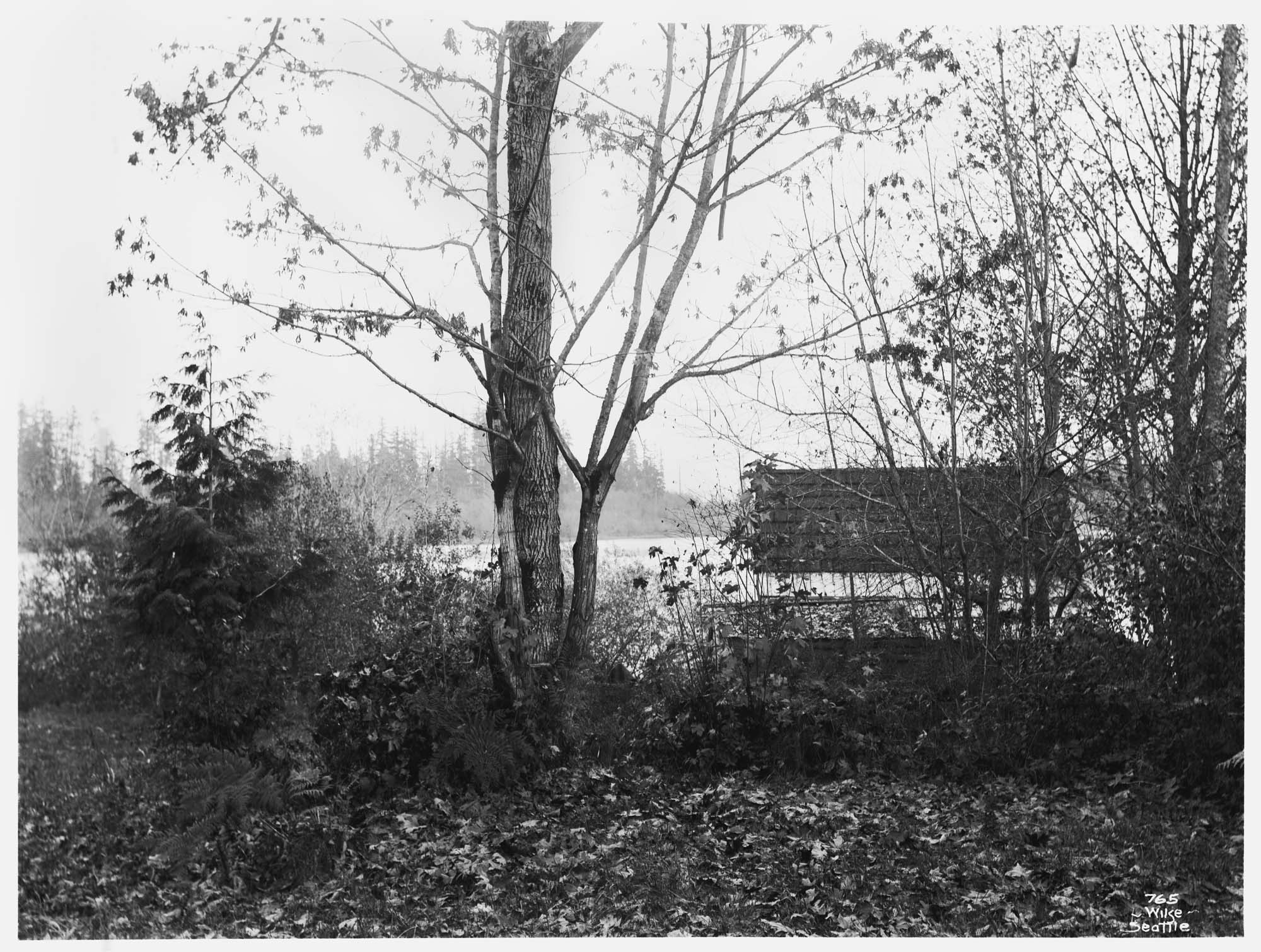 Image of Lake Union, Seattle, circa 1898