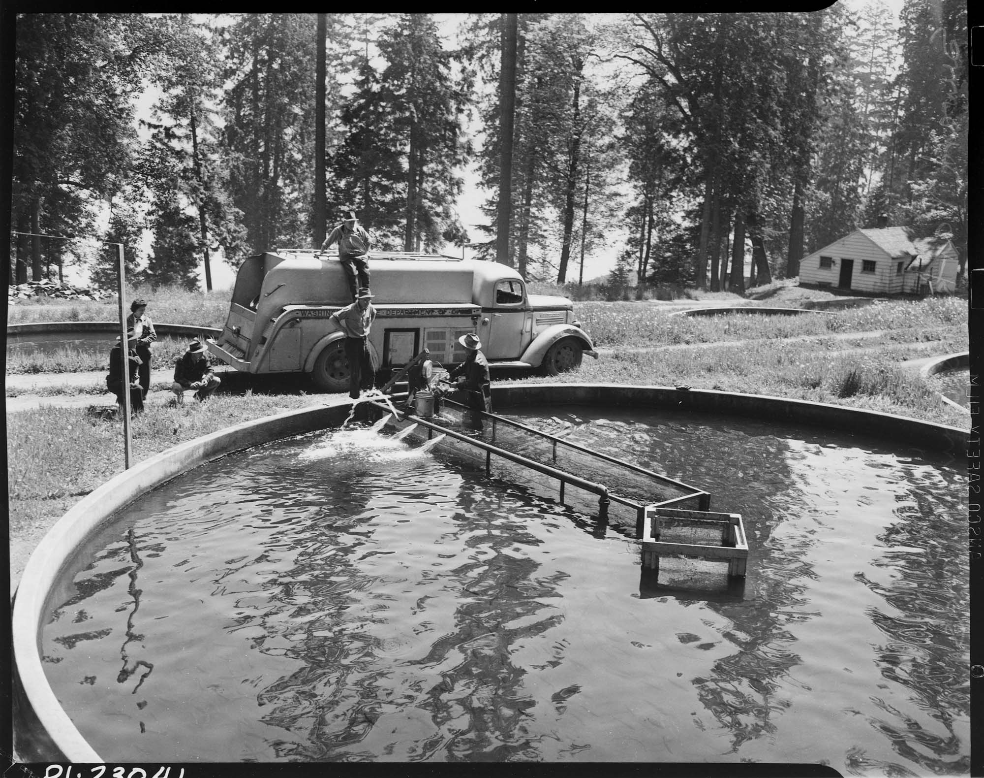 Image of Trout rearing ponds at Seward Park, Seattle, 1948