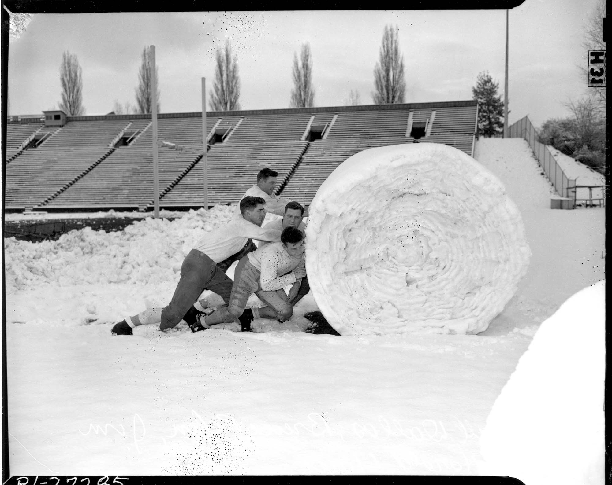 Image of University of Washington football players rolling snowball, Seattle, 1947