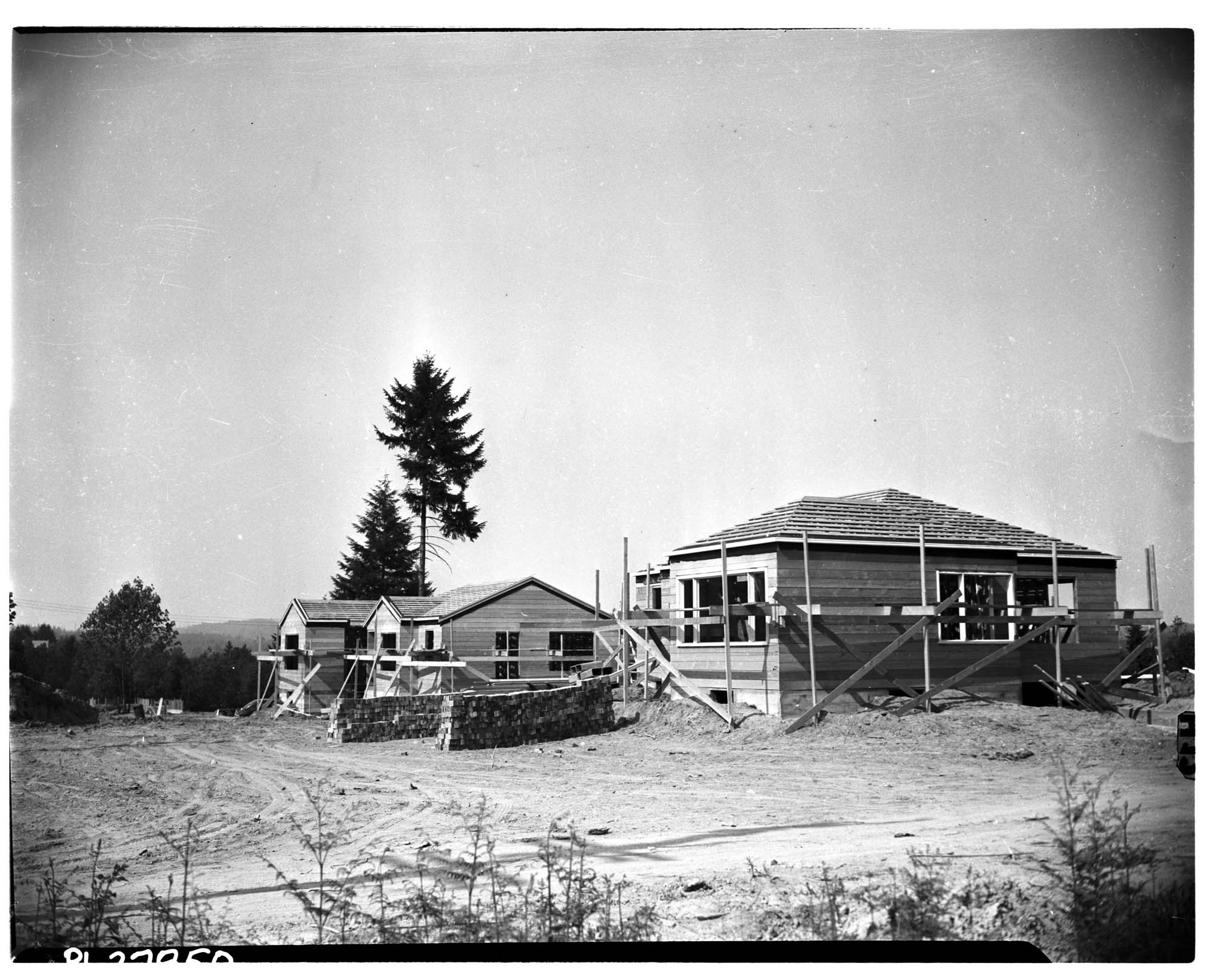 Image of Houses under construction in Bellevue, May 1946