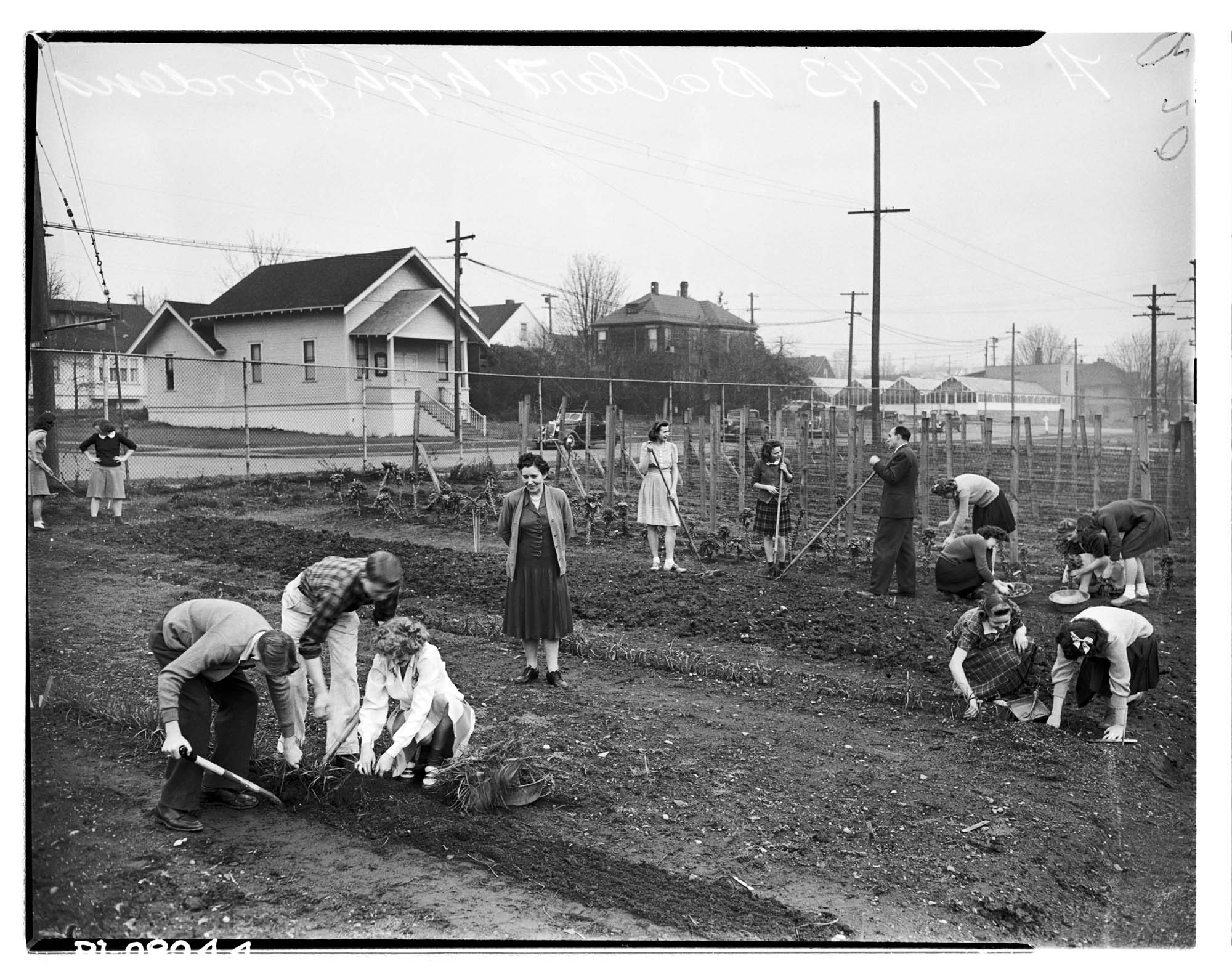 Image of Ballard High School victory garden, Seattle, February 16, 1943