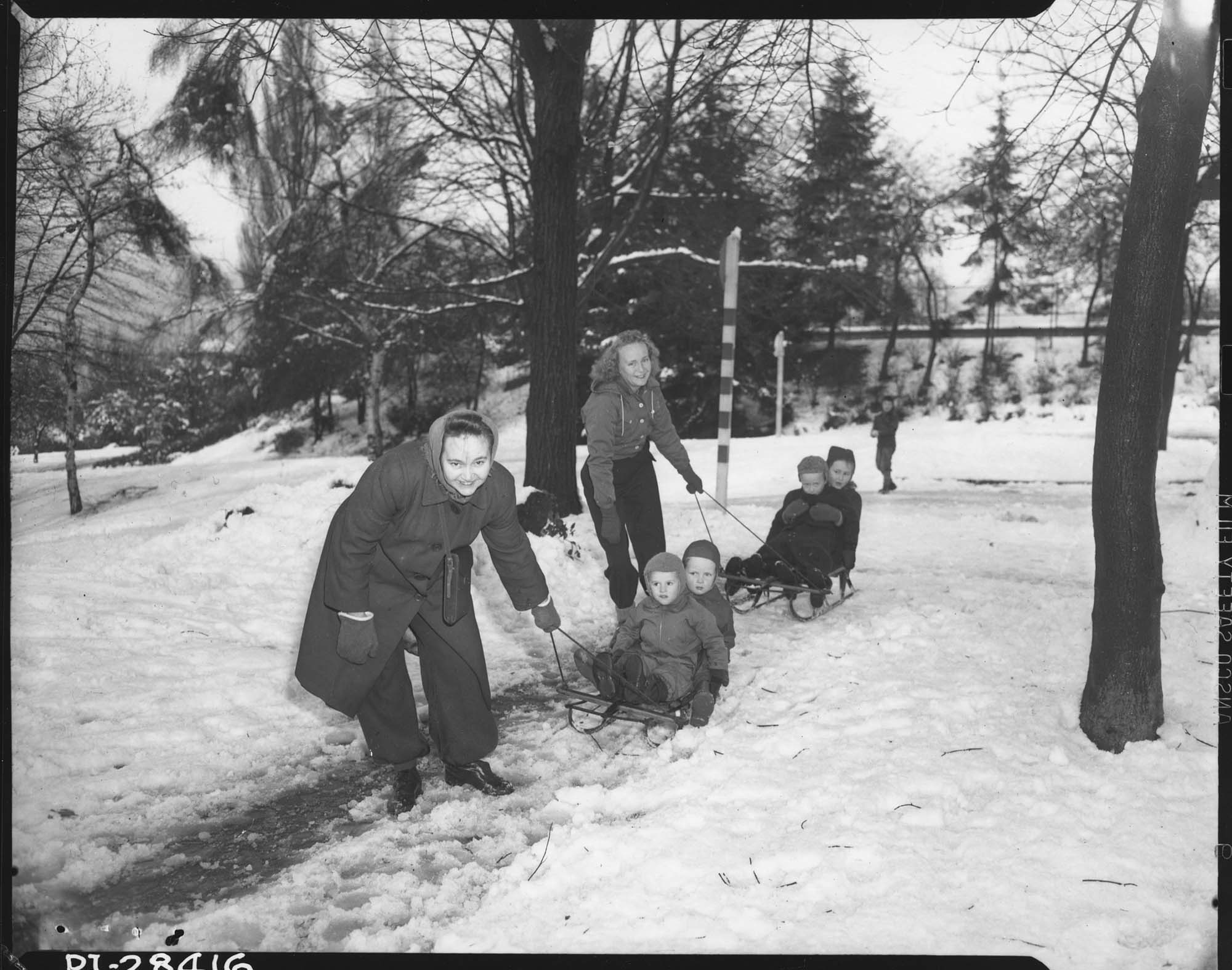 Image of Women pulling children on sleds in Volunteer Park, Seattle, November 19, 1946