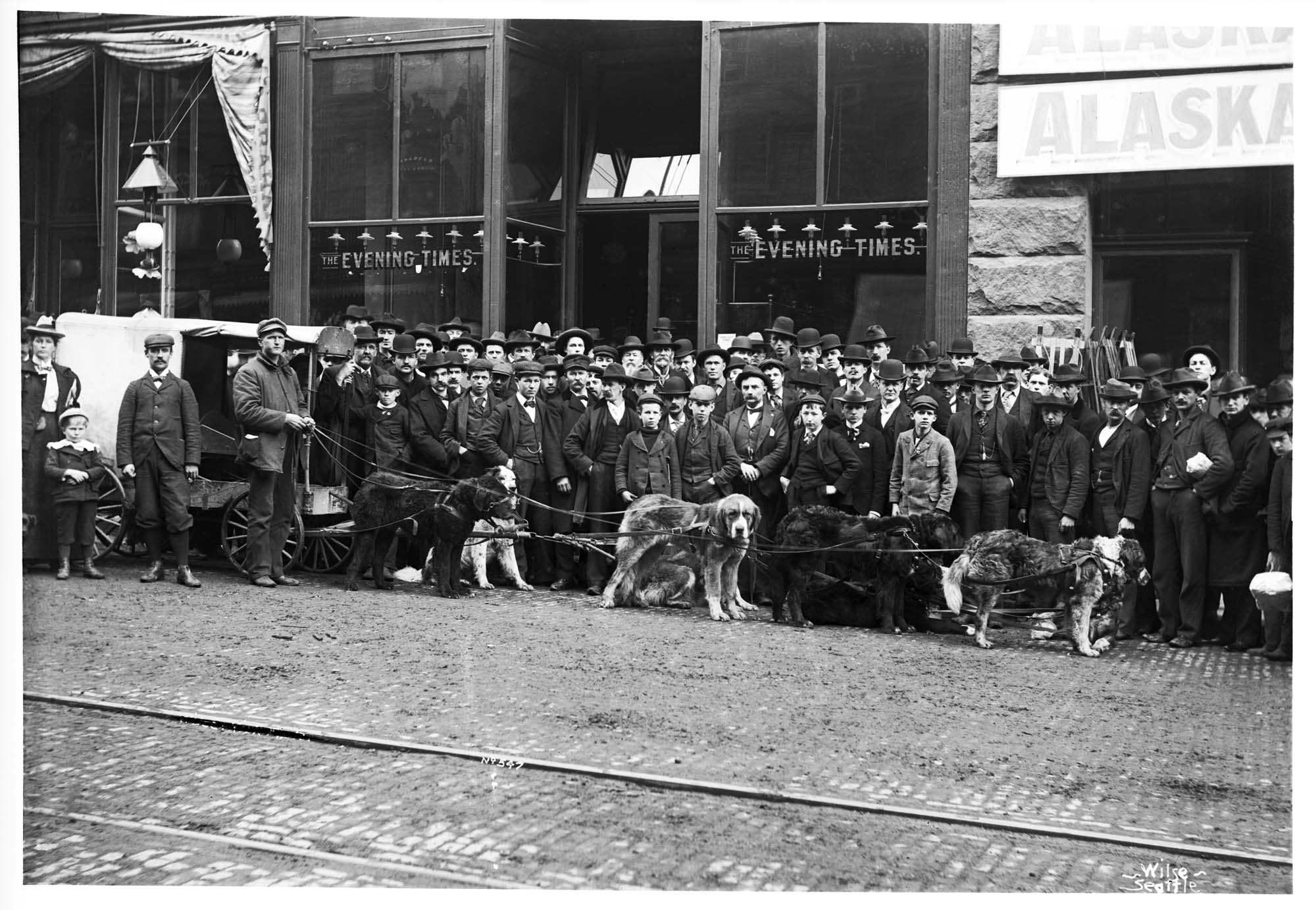 Image of Dog team in front of Seattle Times offices, circa 1898