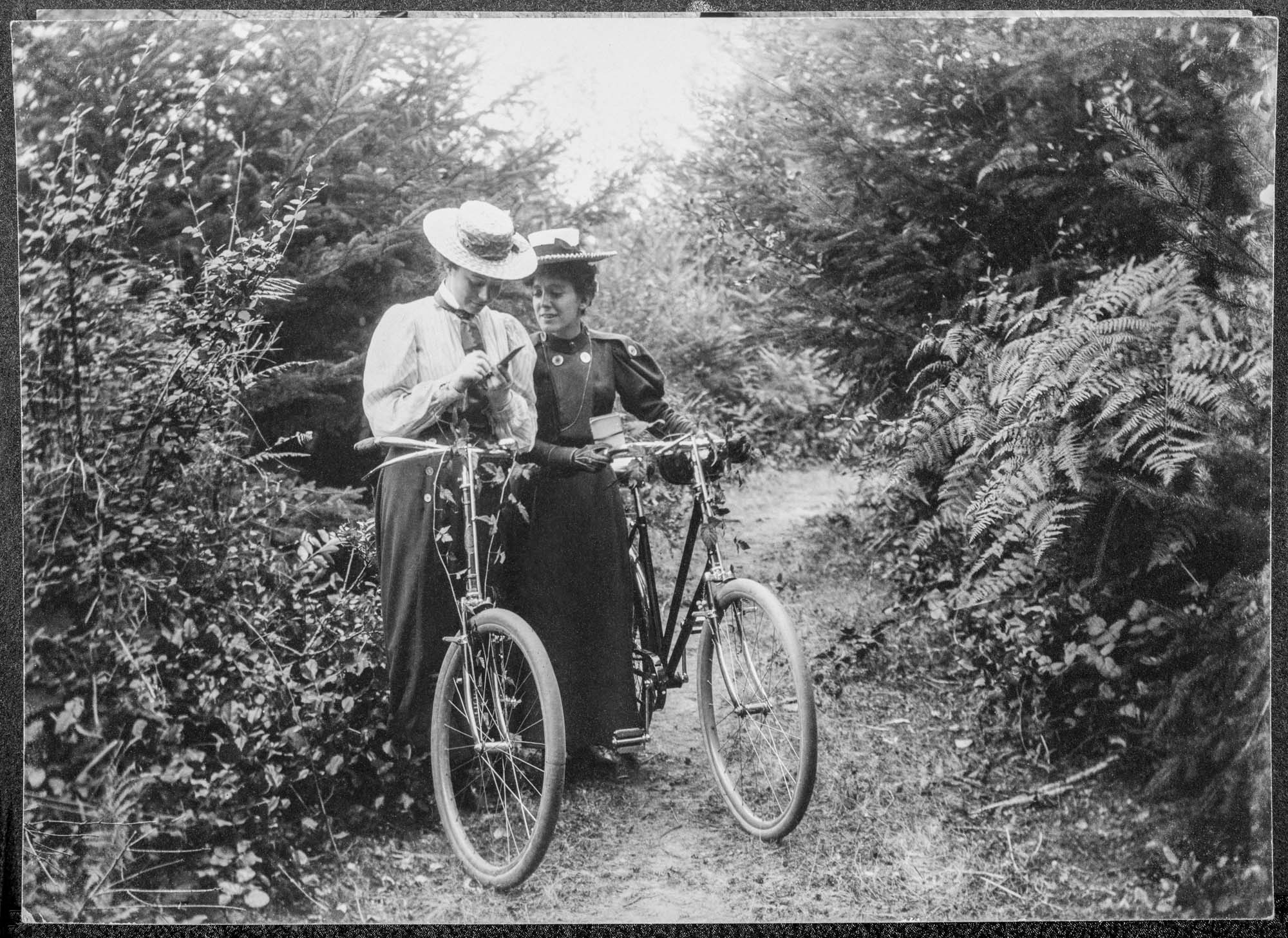 Image of Two women on bicycles, August 24, 1898