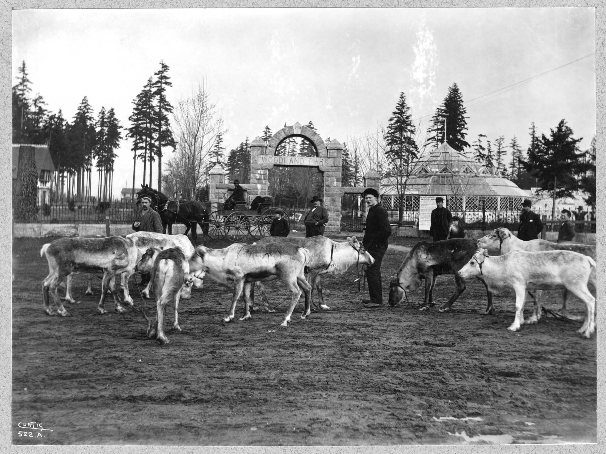 Image of Reindeer and Sami at Woodland Park, 1898