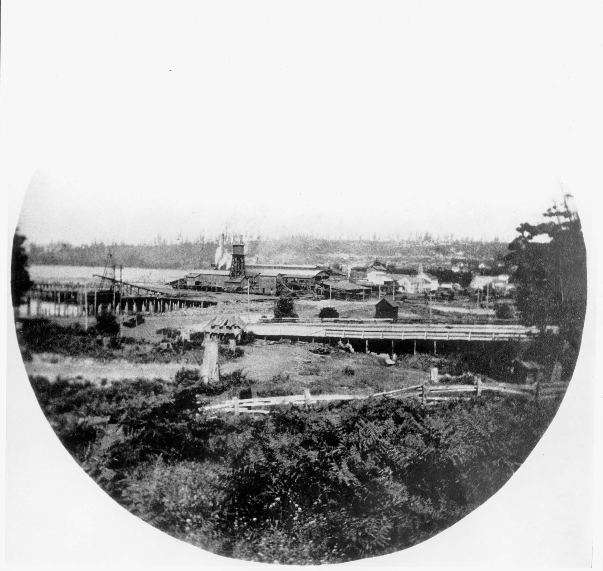 Image of Western Mill, Seattle, circa 1894