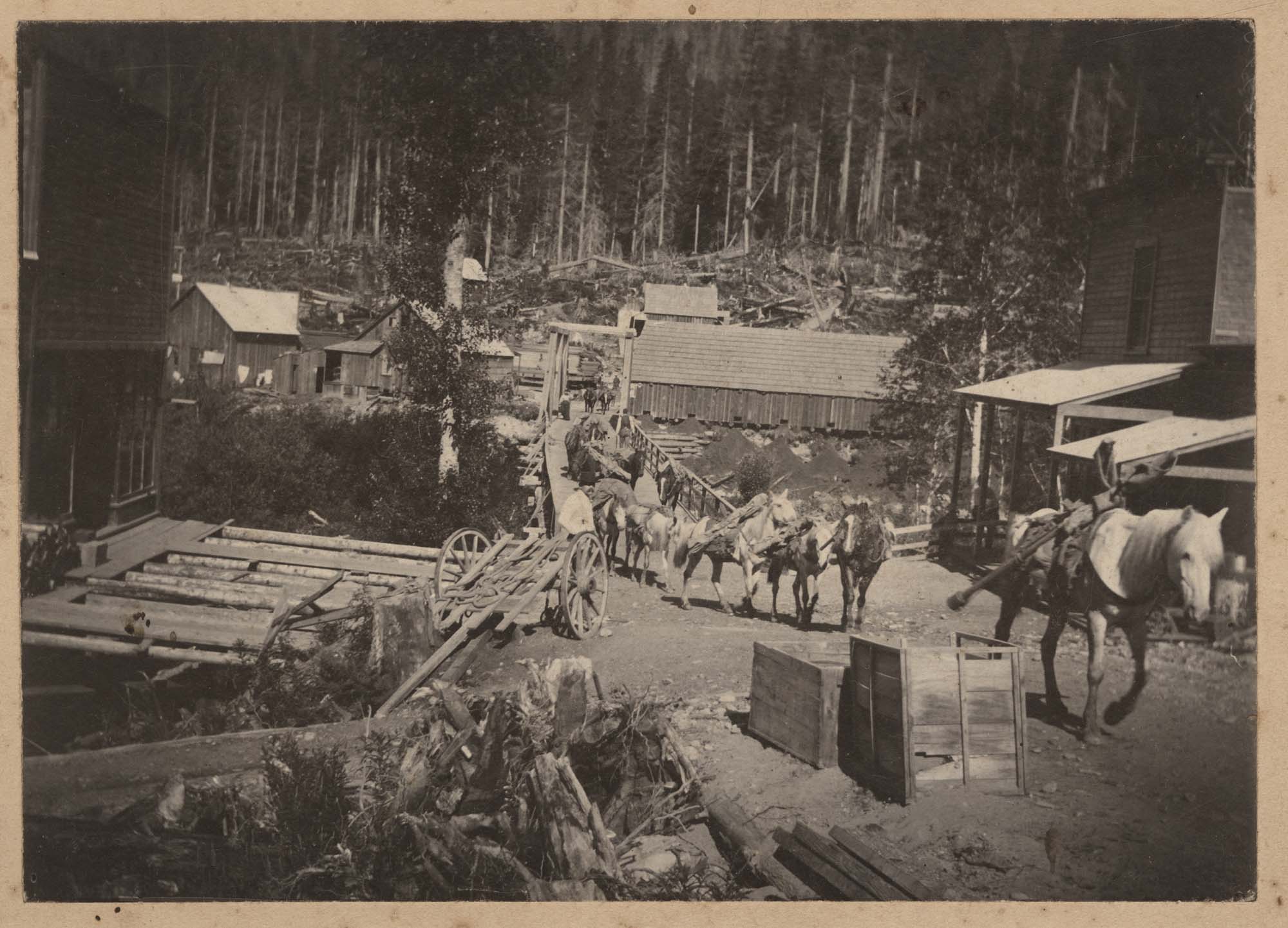 Image of Packtrain in Silverton, Washington, circa 1895