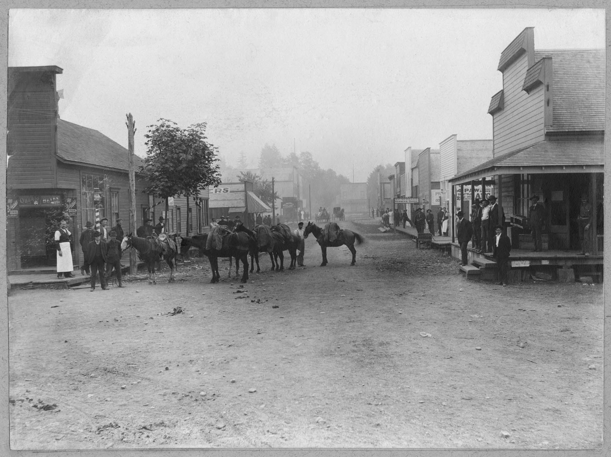 Image of Horse pack train in North Bend, 1906