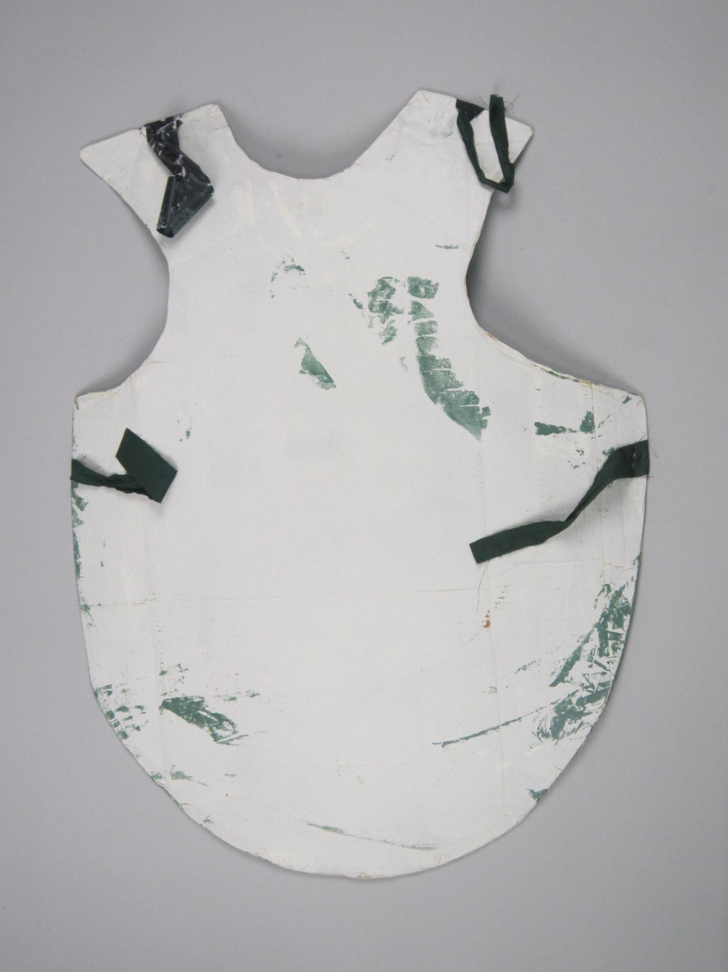 Image of Sea turtle costume shell from the World Trade Center (WTO) protests, 1999