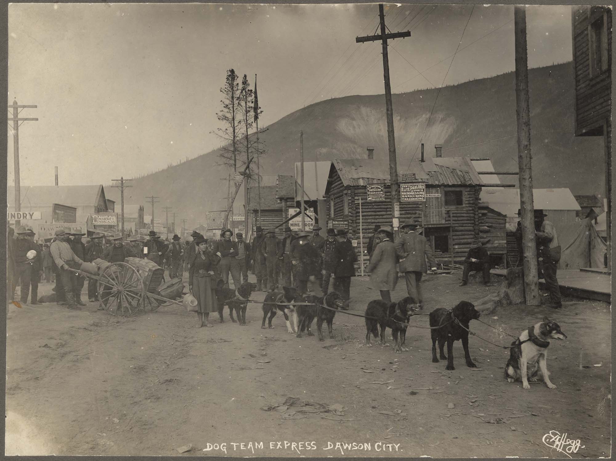 Image of Dog team pulling a cart, Dawson City, circa 1898
