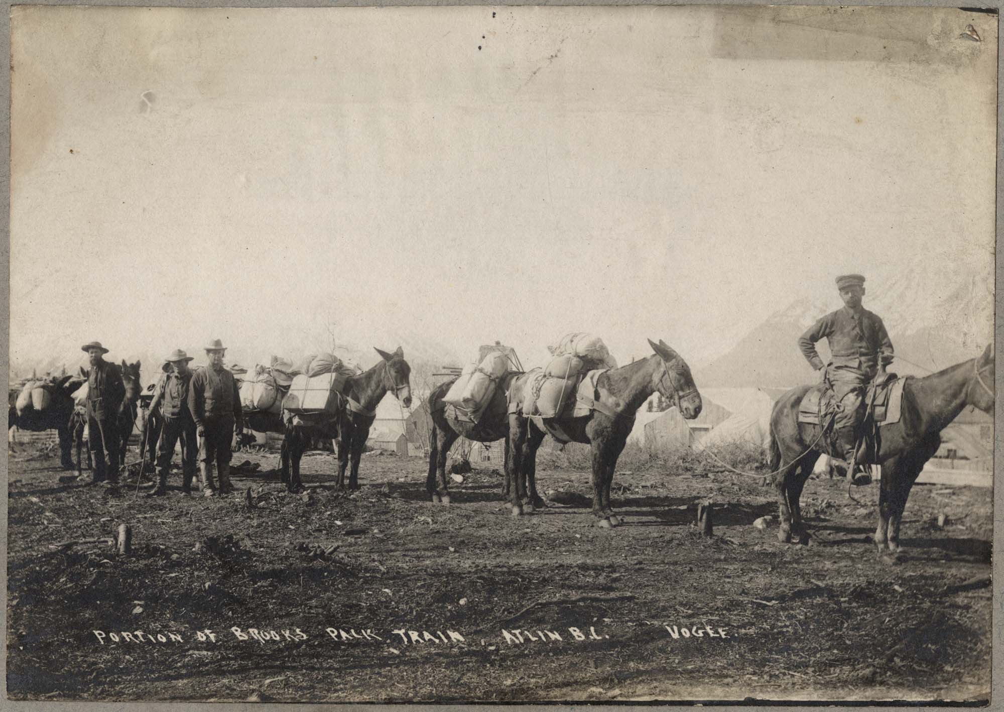 Image of Part of the Brooks packtrain, Atlin, B.C., circa 1900