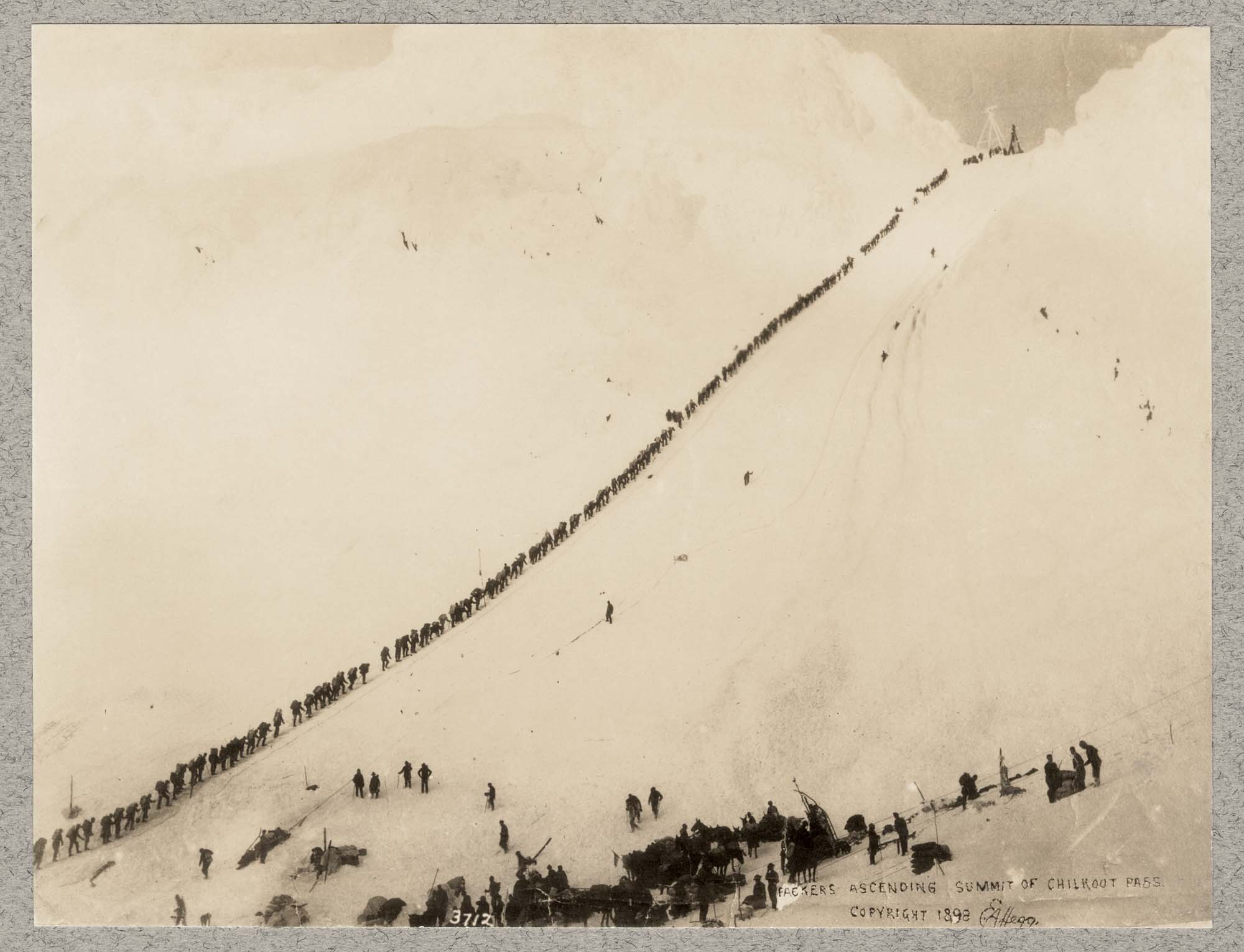 Image of Packers ascending summit of Chilkoot Pass, 1898