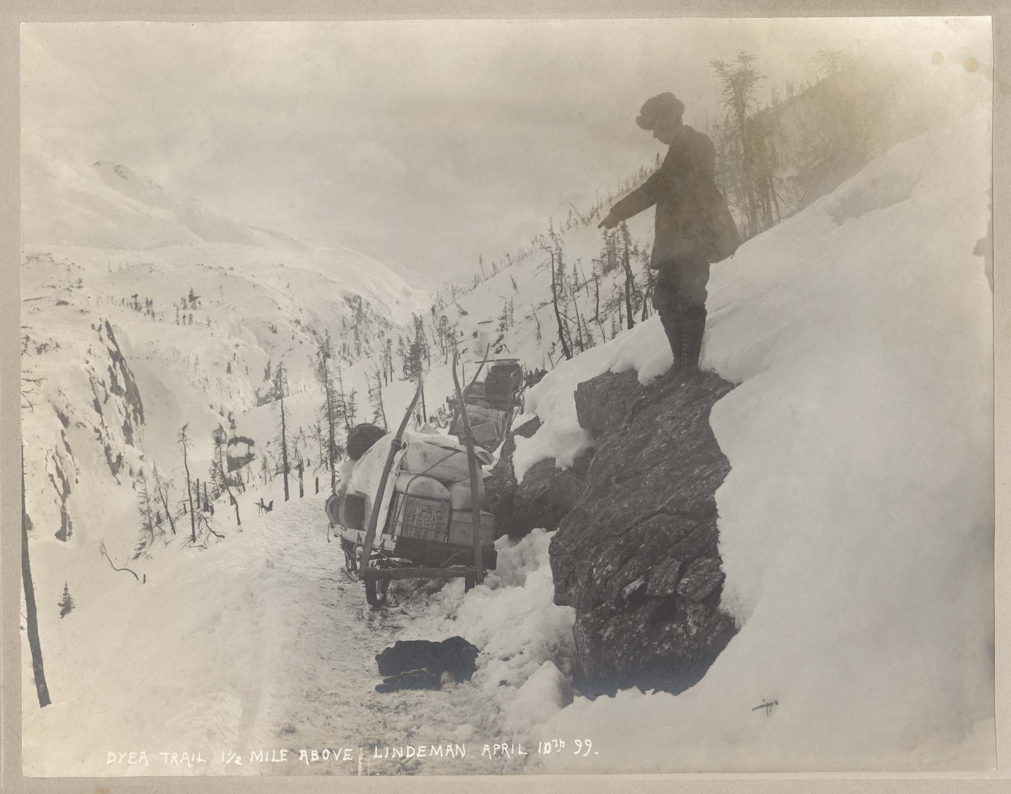 Image of Man with two loaded sleds on Dyea trail above Lindeman, April 10, 1899