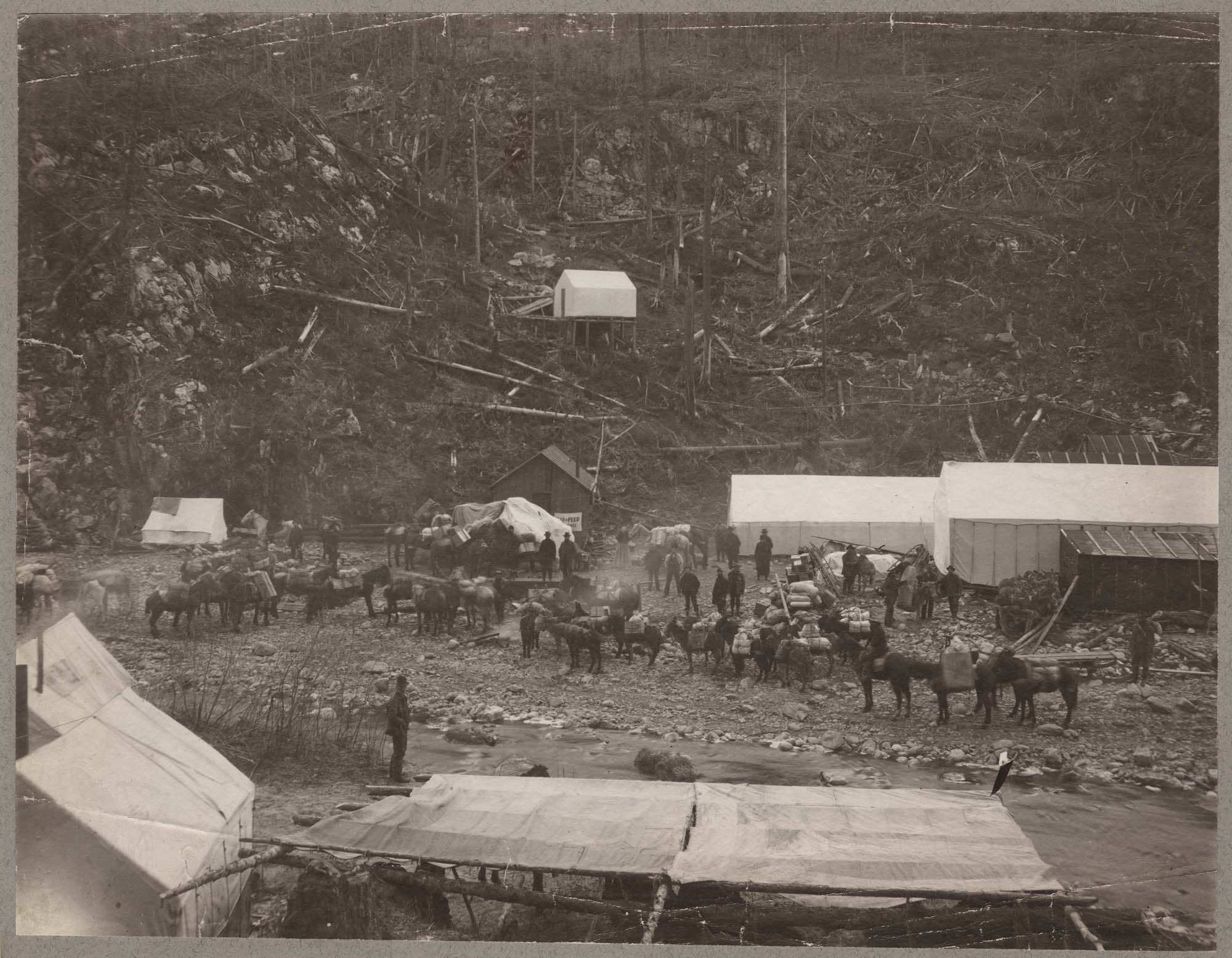 Image of People and pack animals on the Chilkoot Trail, April 21, 1898