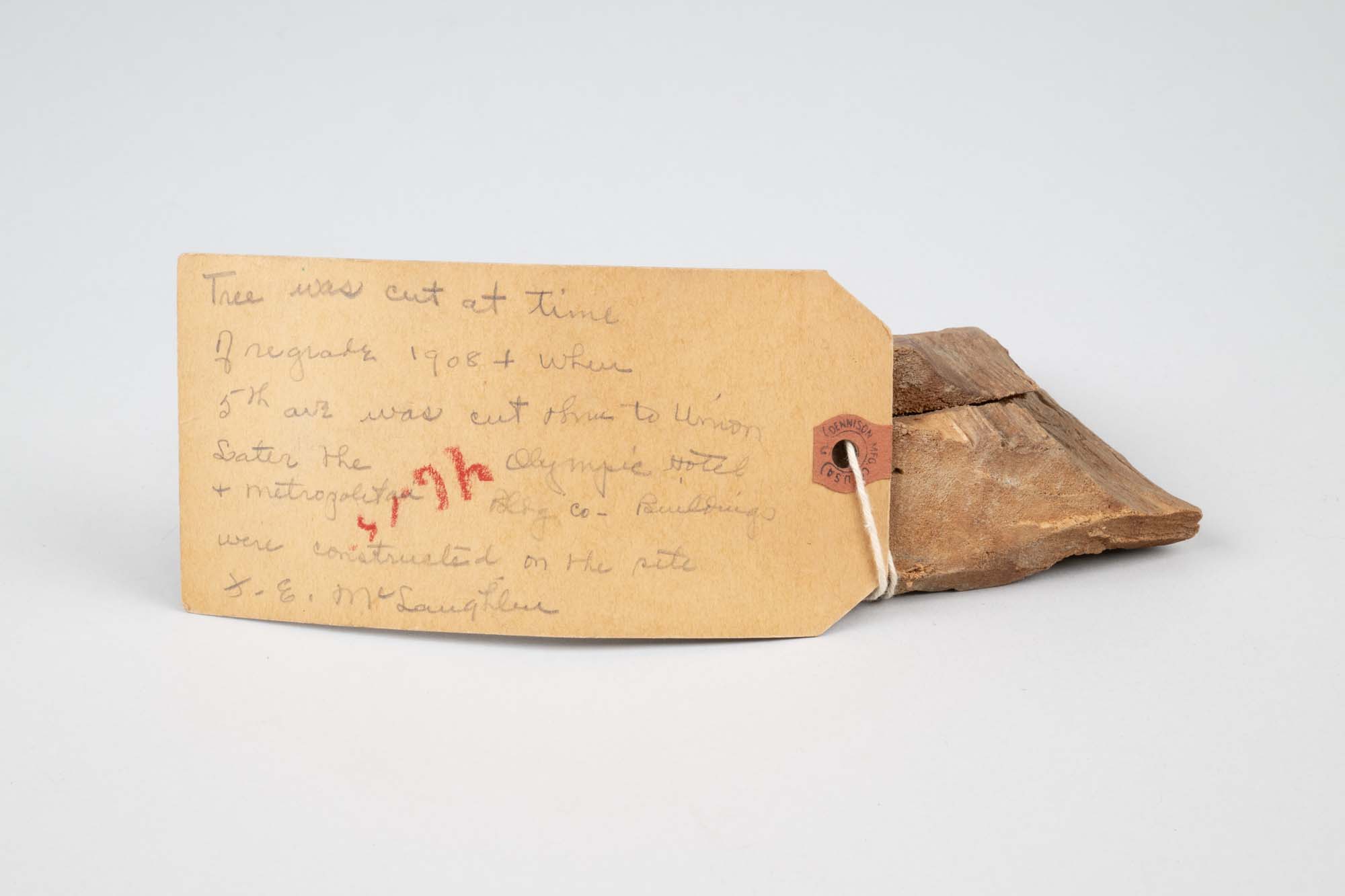 Image of Chip from the old forest maple tree on the original site of the University of Washington, ca.1880-1908