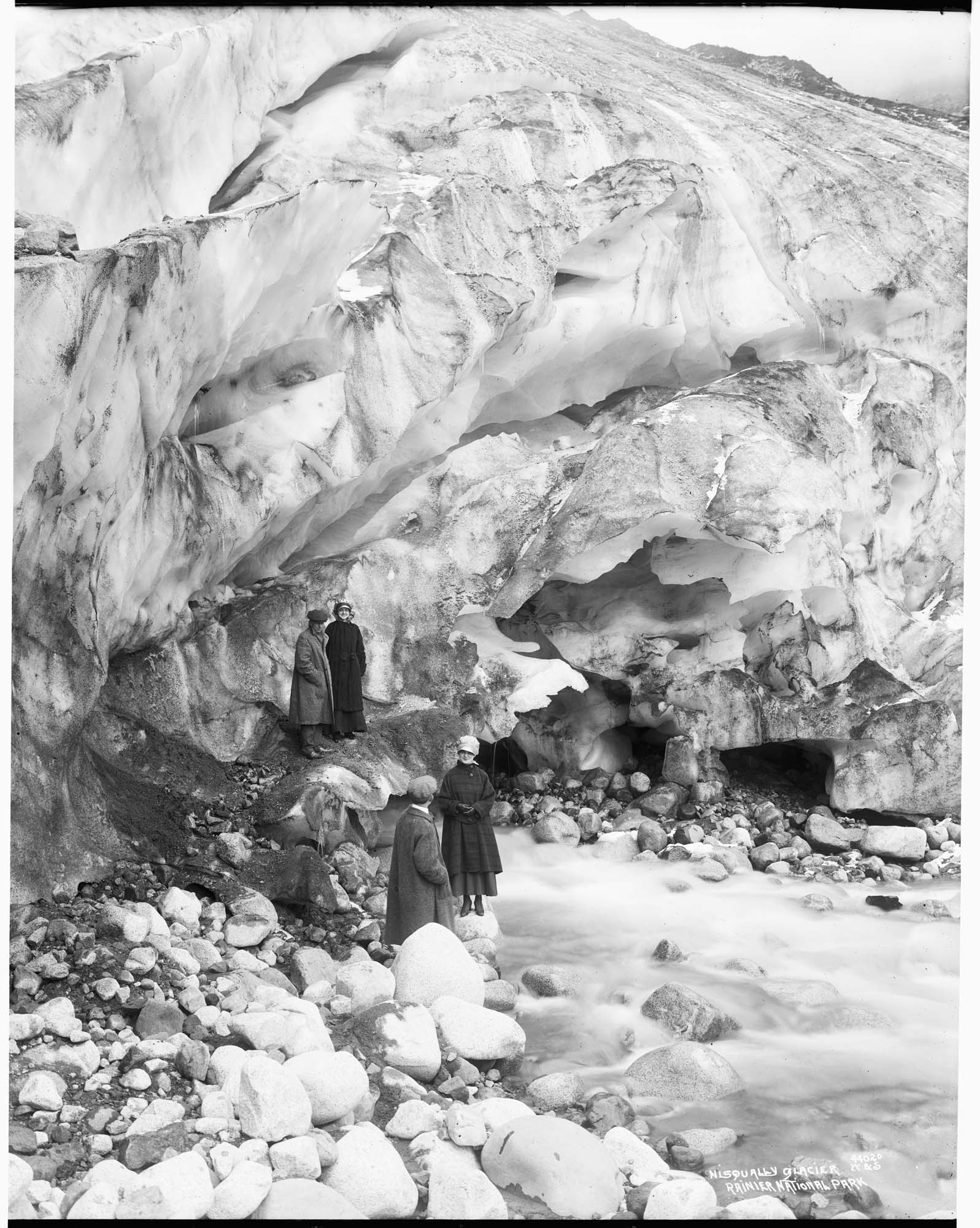 Image of Nisqually Glacier, Rainier National Park, May 1915