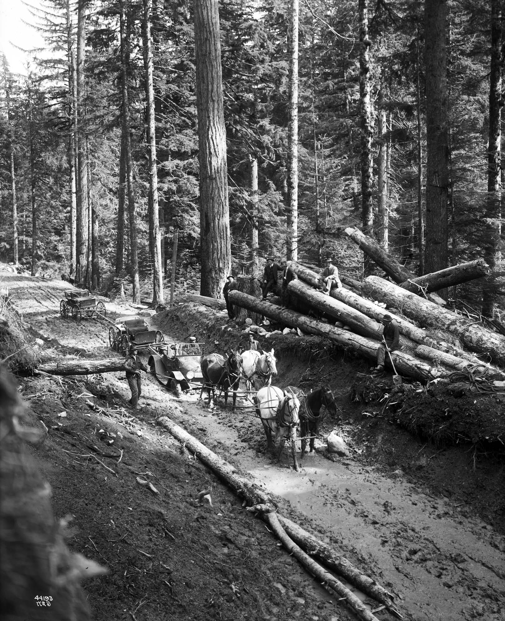 Image of Horse teams pull an automobile from a mudhole at Snoqualmie Pass, May 1915