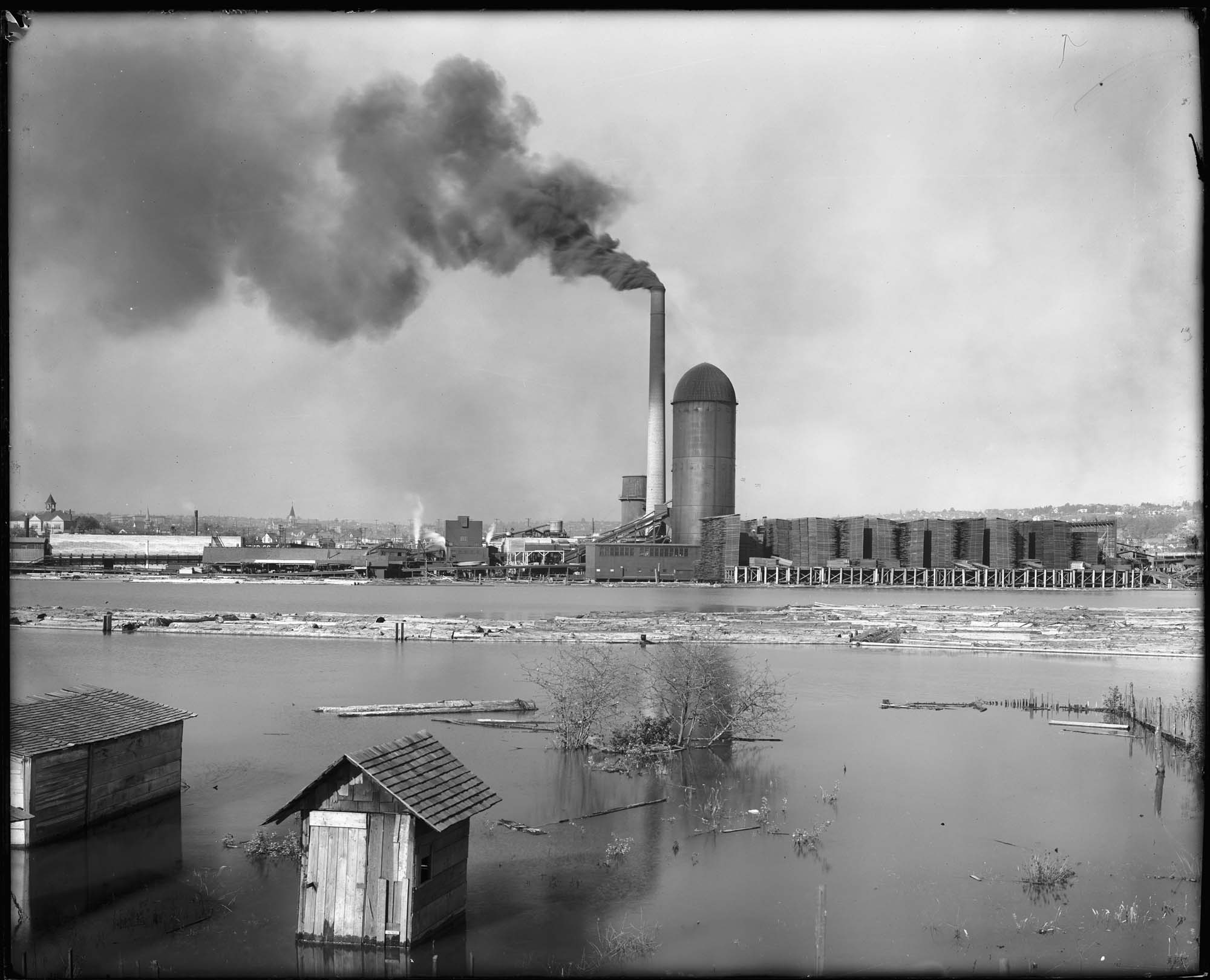 Image of Seattle Cedar mill, circa 1916