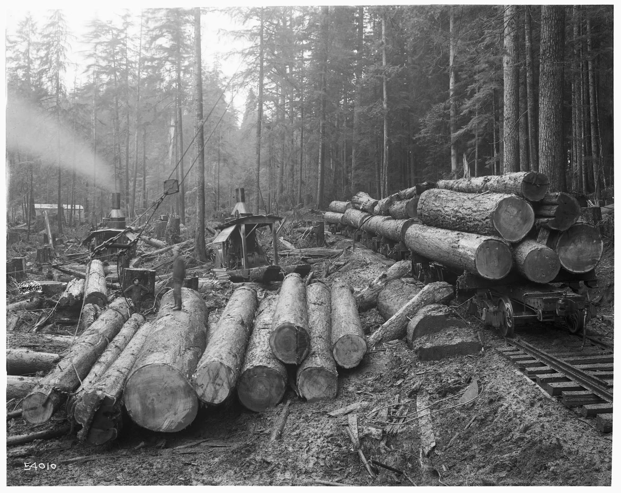 Image of Loading logs, circa 1916