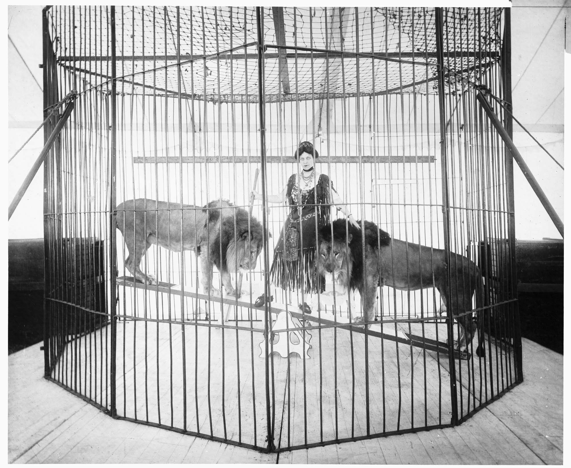 Image of Mrs. Dwyer on seesaw with two lions, circa 1917