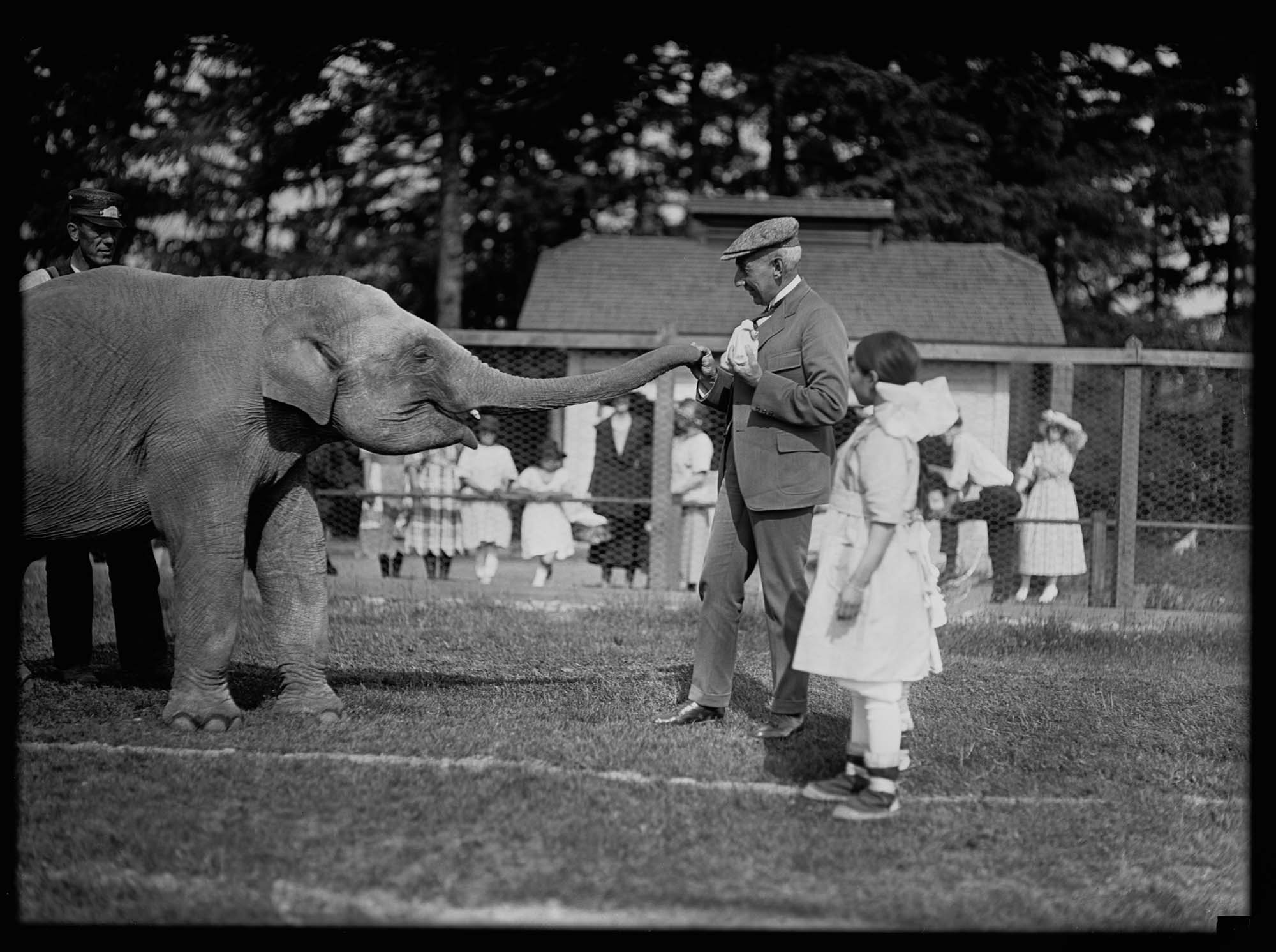 Image of Roald Amundsen and Chukchi girls with elephant at Woodland Park, Seattle, 1921