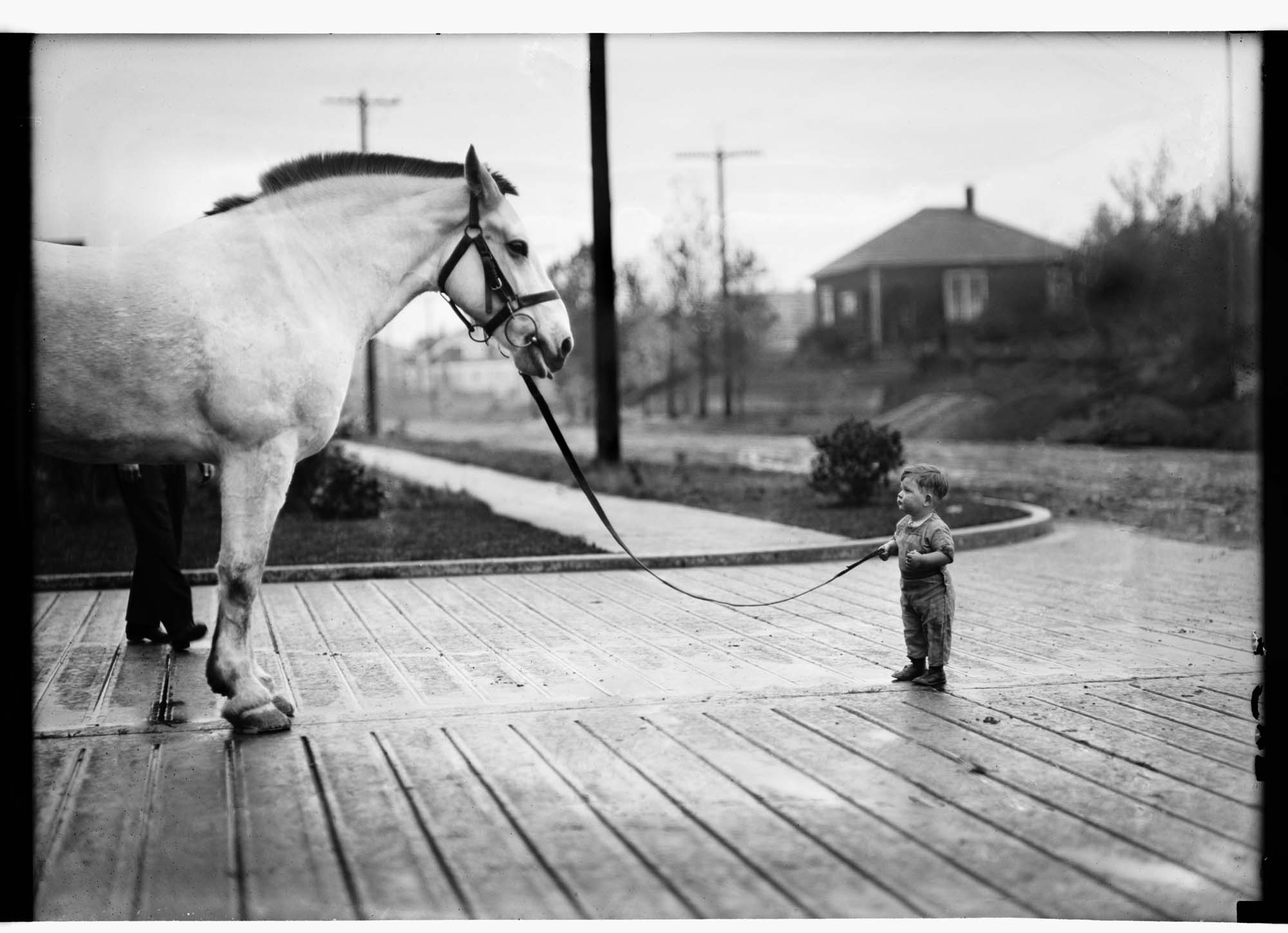 Image of Young boy Frankie Williams with 