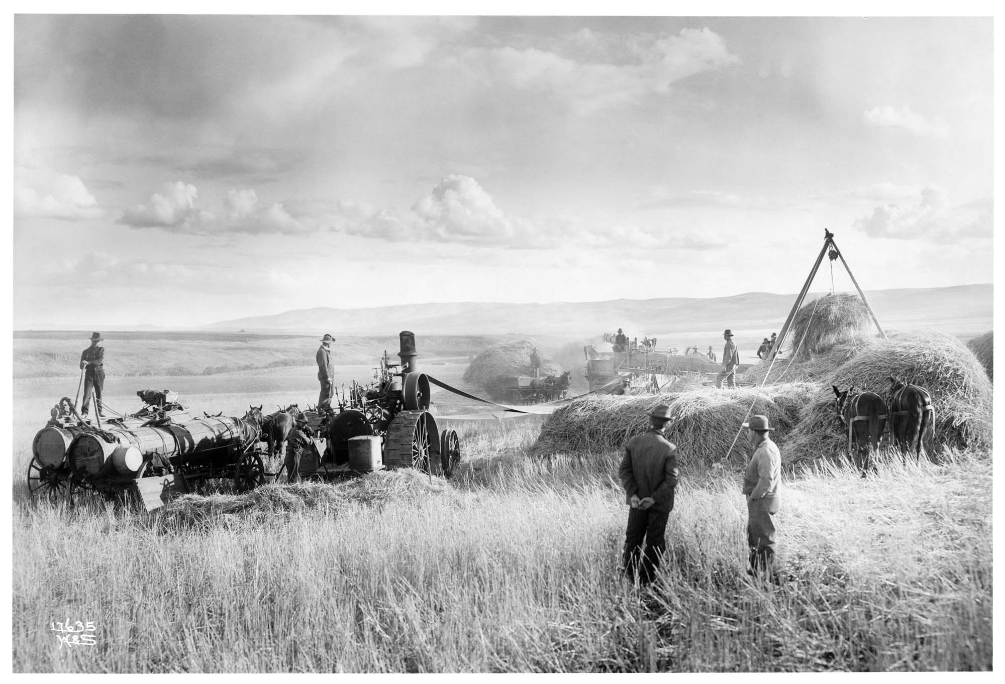 Image of Threshing wheat at harvest time, near Waterville, circa 1907