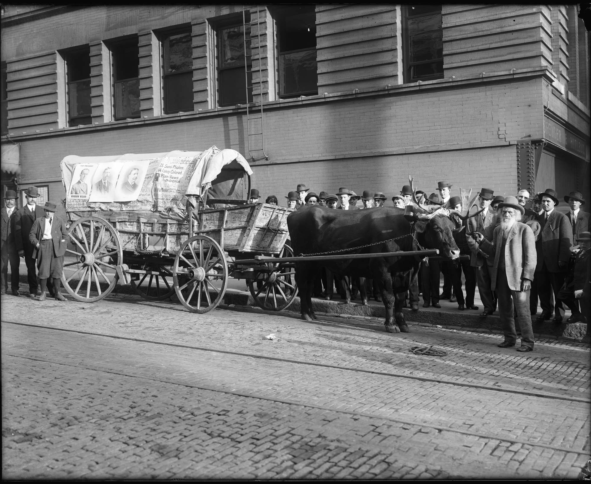 Image of Ezra Meeker and his oxcart, 1912