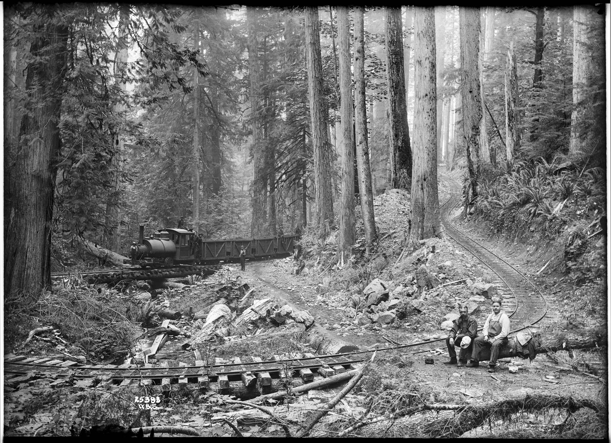 Image of Men sitting near track in forest, circa 1913