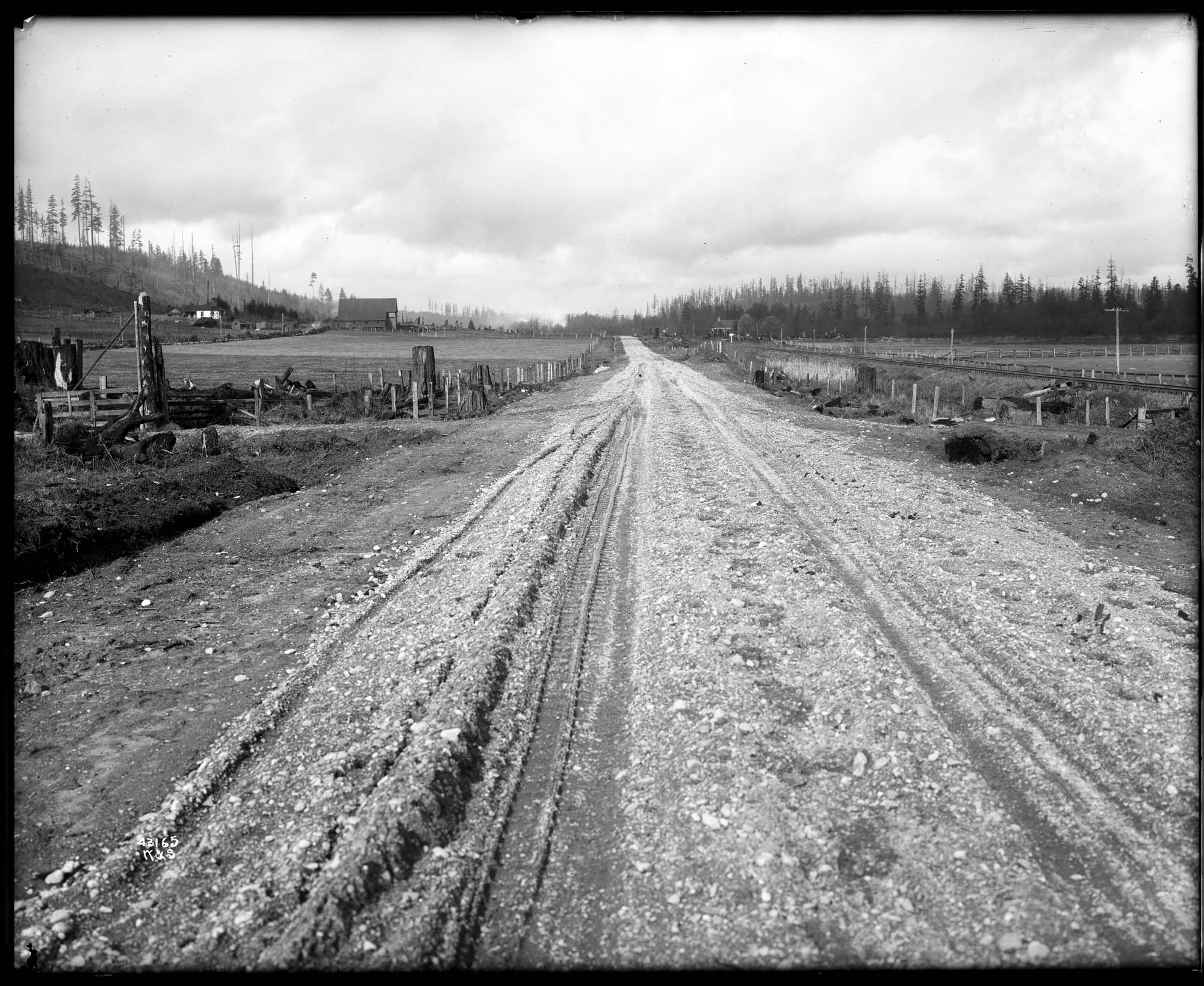 Image of Pacific Highway near Bothell, Washington, 1915