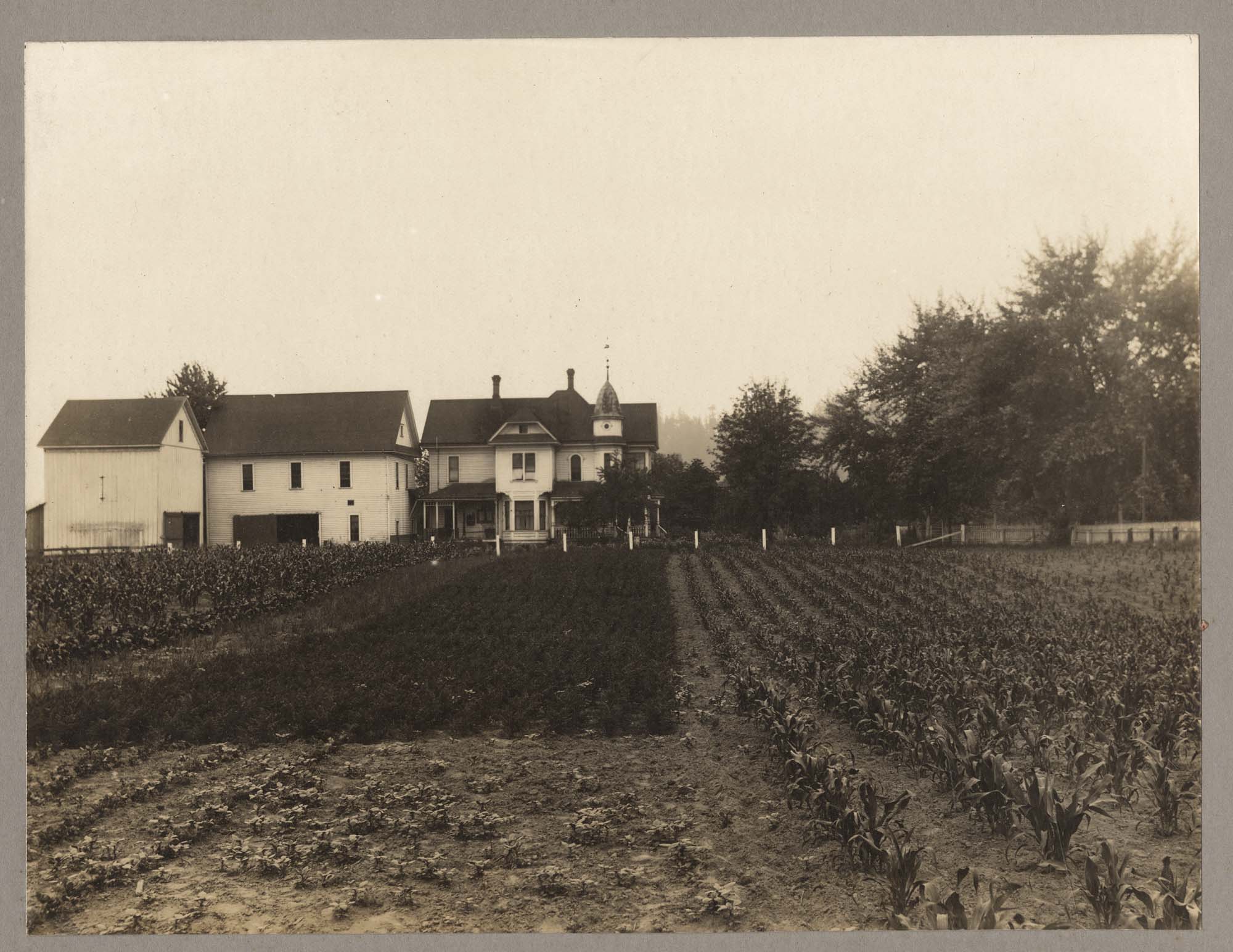 Image of Farmhouse and gardens near Georgetown, Washington, circa 1914
