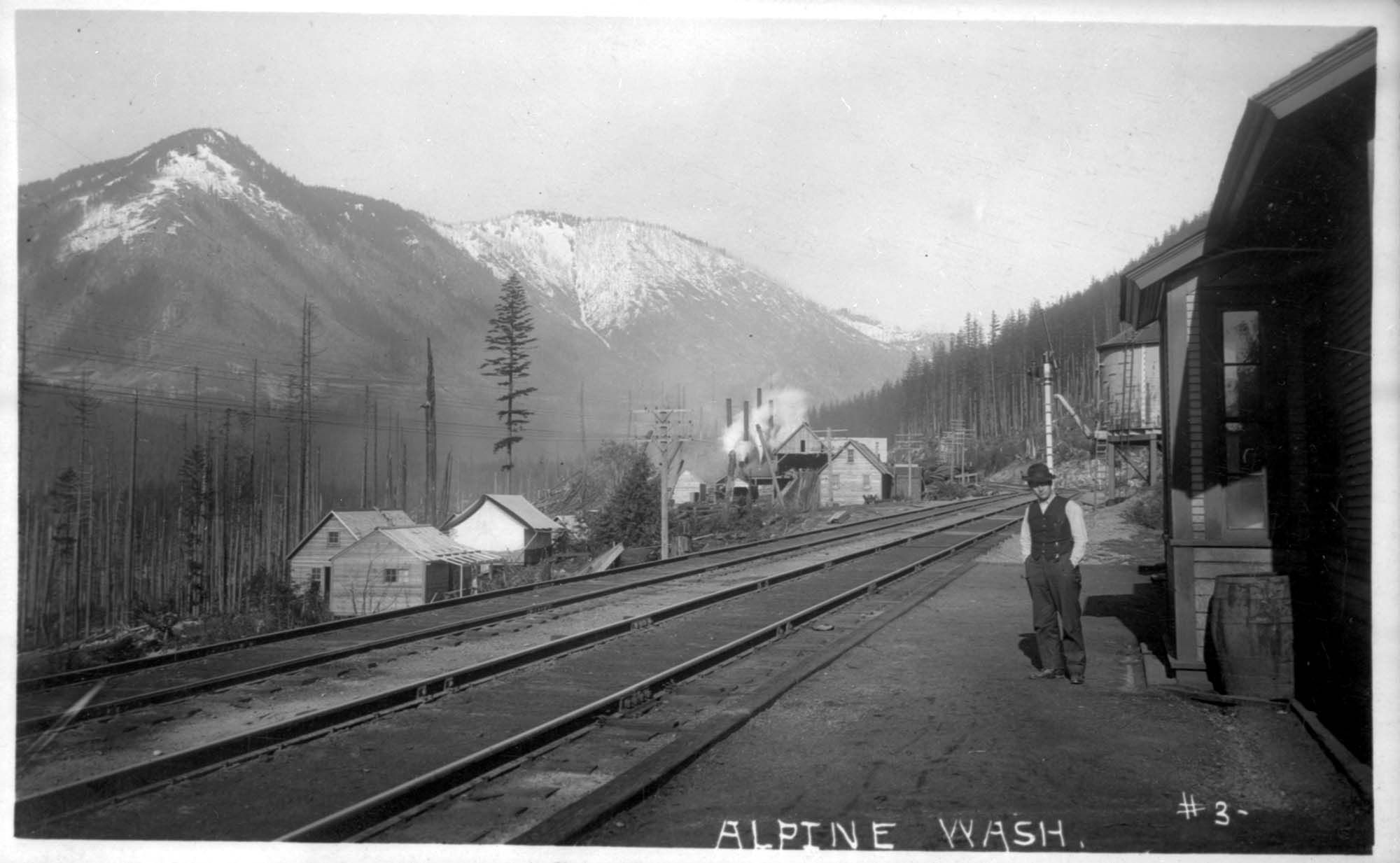 Image of View of Alpine, Washington from railroad station, circa 1910