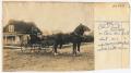 Image of Photograph of Olive Graef Treat in horse-drawn carriage on Queen Anne Hill, circa 1903