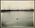 Image of Tidal flats south of downtown Seattle, October 27, 1923