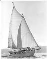 Image of Schooner 