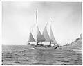 Image of Schooner 