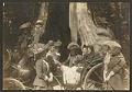 Image of Eight Seattle women in carriage at Stanley Park, Vancouver B. C., August 1908