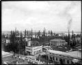 Image of Birds-eye view of Alaska-Yukon-Pacific Exposition grounds, Seattle, 1909