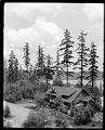 Image of Hoo-Hoo House with Lake Washington in the distance,  Alaska-Yukon-Pacific Exposition, 1909