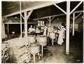 Image of Meal preparation at the Naval Training Station, Seattle, circa 1918
