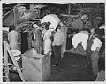 Image of Group of teachers looking at gas dryer during Bemis Bag Co. factory tour, Seattle, 1959