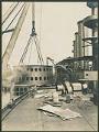 Image of Construction of USS Nebraska's main deck at Moran Brothers shipyard, Seattle, 1904