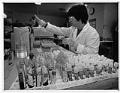 Image of Microbiologist with blood samples for HIV testing at the Public Health Lab, Seattle, March 26, 1992