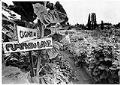 Image of People working in P-Patch garden, Seattle, August 1974