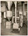 Image of Employee operating a spice cleaning apparatus at the Crescent Manufacturing Company, Seattle, circa 1923