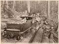 Image of Snoqualmie Mill Company train engine, circa 1890