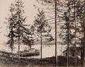 Image of Sidewheel steamboat Kirkland docked on east side of Lake Washington, circa 1890