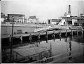Image of Lake Washington ferry dock at Leschi Park, Seattle, circa 1920