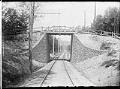 Image of Bridge above railroad tracks in Woodland Park, Seattle, September 1, 1904